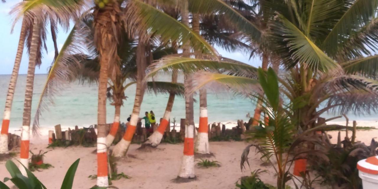 Sunny Beach Apartments San Andrés Eksteriør bilde