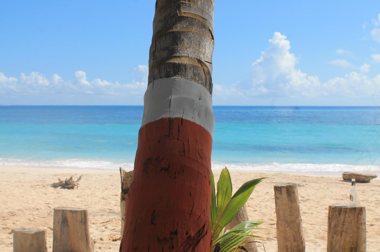 Sunny Beach Apartments San Andrés Eksteriør bilde